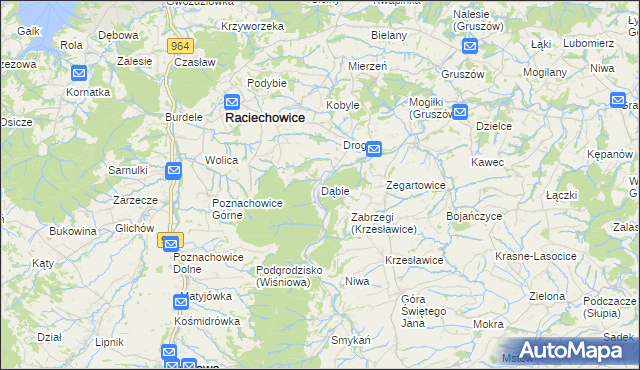 mapa Dąbie gmina Raciechowice, Dąbie gmina Raciechowice na mapie Targeo