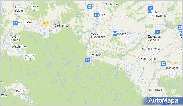 mapa Folusz gmina Dębowiec, Folusz gmina Dębowiec na mapie Targeo