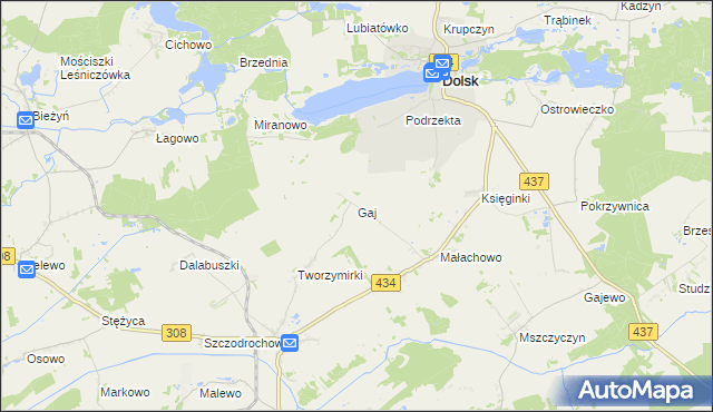 mapa Gaj gmina Gostyń, Gaj gmina Gostyń na mapie Targeo