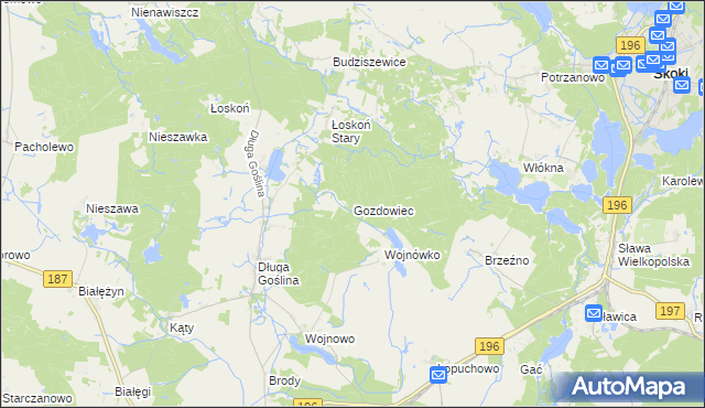 mapa Gozdowiec, Gozdowiec na mapie Targeo