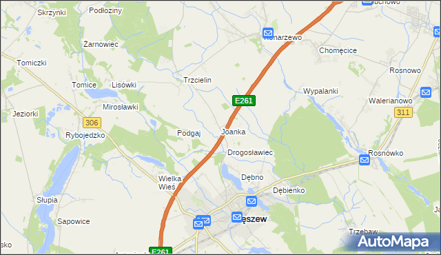 mapa Joanka gmina Dopiewo, Joanka gmina Dopiewo na mapie Targeo