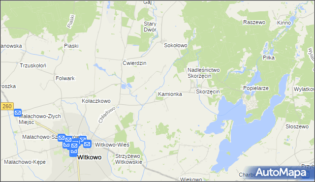 mapa Kamionka gmina Witkowo, Kamionka gmina Witkowo na mapie Targeo