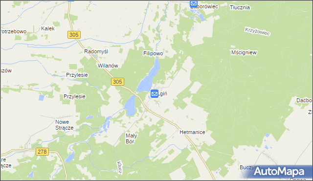 mapa Lgiń, Lgiń na mapie Targeo