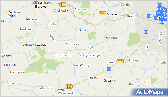 mapa Toki gmina Czernice Borowe, Toki gmina Czernice Borowe na mapie Targeo