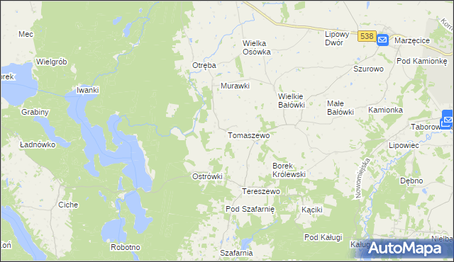 mapa Tomaszewo gmina Kurzętnik, Tomaszewo gmina Kurzętnik na mapie Targeo