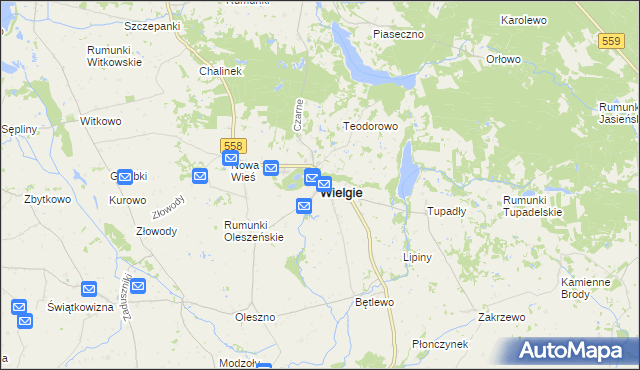 mapa Wielgie powiat lipnowski, Wielgie powiat lipnowski na mapie Targeo