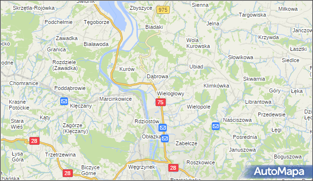 mapa Wielogłowy gmina Chełmiec, Wielogłowy gmina Chełmiec na mapie Targeo