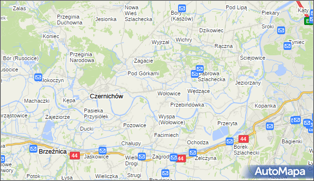 mapa Wołowice, Wołowice na mapie Targeo