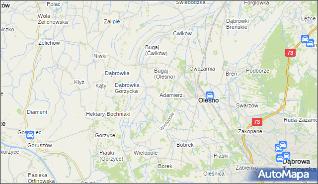 mapa Adamierz gmina Olesno, Adamierz gmina Olesno na mapie Targeo