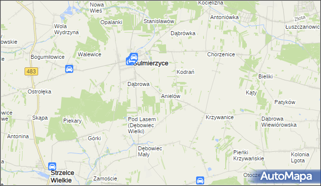 mapa Anielów gmina Sulmierzyce, Anielów gmina Sulmierzyce na mapie Targeo