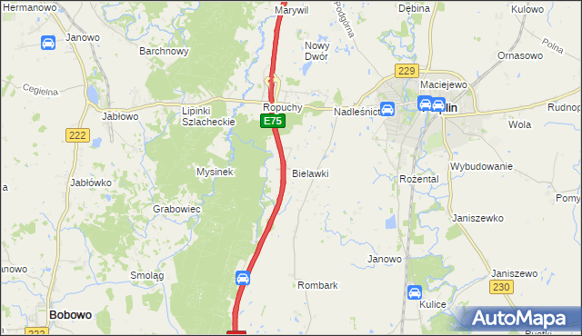 mapa Bielawki gmina Pelplin, Bielawki gmina Pelplin na mapie Targeo