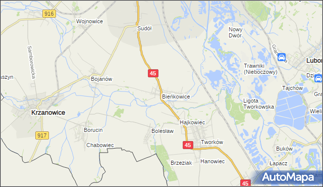 mapa Bieńkowice gmina Krzyżanowice, Bieńkowice gmina Krzyżanowice na mapie Targeo