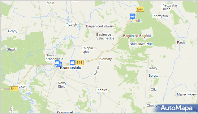 mapa Biernaty gmina Krasnosielc, Biernaty gmina Krasnosielc na mapie Targeo