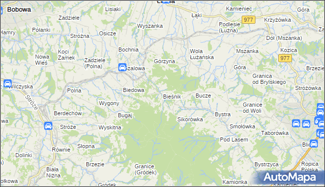 mapa Bieśnik gmina Łużna, Bieśnik gmina Łużna na mapie Targeo