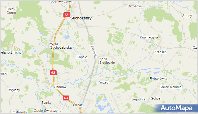 mapa Borki Siedleckie, Borki Siedleckie na mapie Targeo