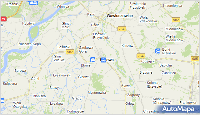 mapa Borowa powiat mielecki, Borowa powiat mielecki na mapie Targeo
