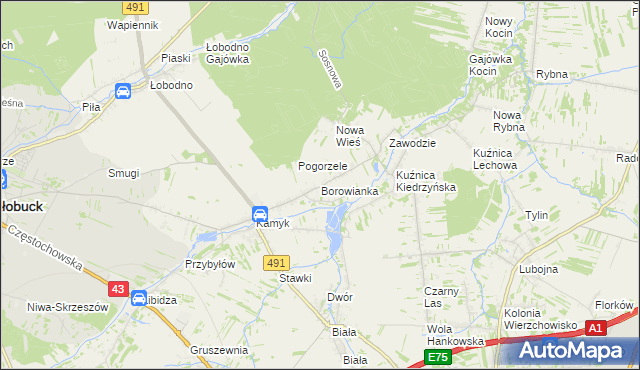 mapa Borowianka, Borowianka na mapie Targeo