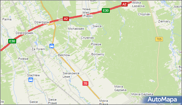 mapa Borowiny gmina Skierniewice, Borowiny gmina Skierniewice na mapie Targeo