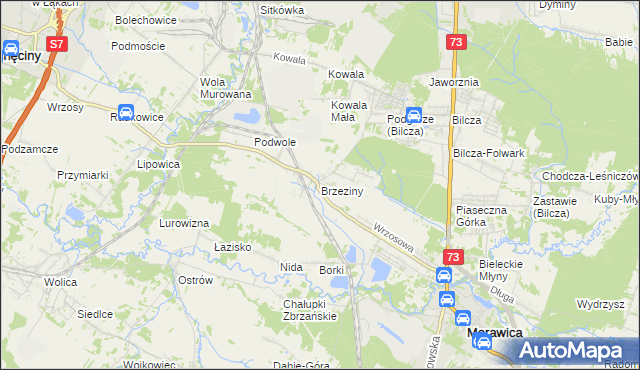 mapa Brzeziny gmina Morawica, Brzeziny gmina Morawica na mapie Targeo