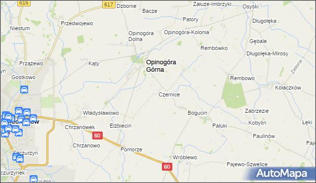 mapa Czernice gmina Opinogóra Górna, Czernice gmina Opinogóra Górna na mapie Targeo