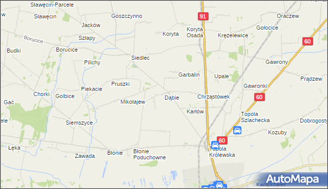 mapa Dąbie gmina Łęczyca, Dąbie gmina Łęczyca na mapie Targeo