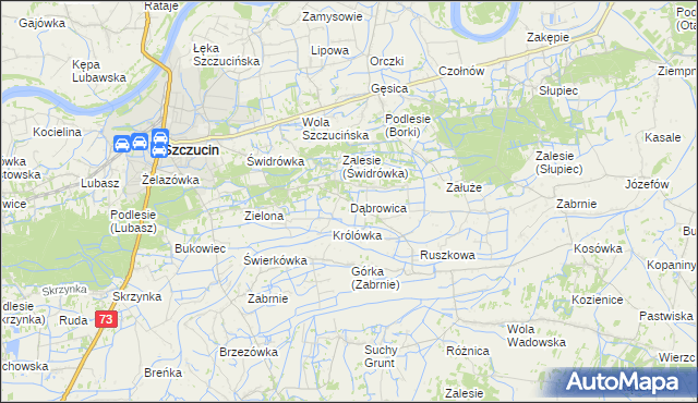 mapa Dąbrowica gmina Szczucin, Dąbrowica gmina Szczucin na mapie Targeo