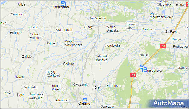 mapa Dąbrówki Breńskie, Dąbrówki Breńskie na mapie Targeo