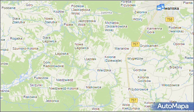mapa Dziewiątle, Dziewiątle na mapie Targeo