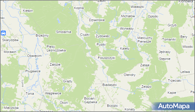 mapa Foluszczyki, Foluszczyki na mapie Targeo