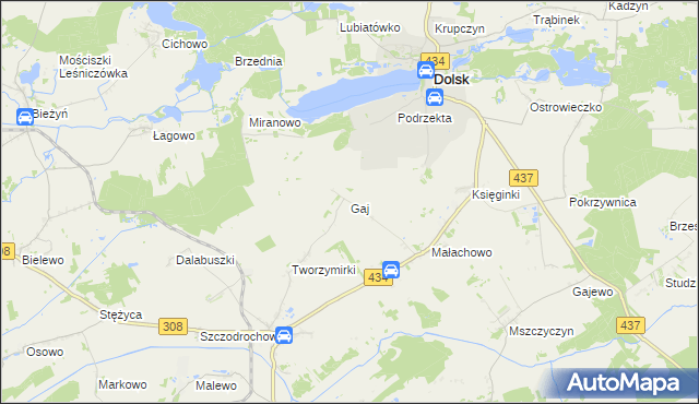 mapa Gaj gmina Gostyń, Gaj gmina Gostyń na mapie Targeo