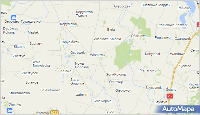 mapa Góry gmina Wilczyn, Góry gmina Wilczyn na mapie Targeo
