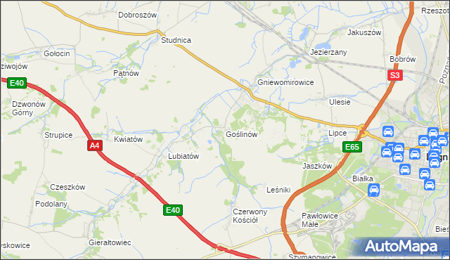 mapa Goślinów, Goślinów na mapie Targeo