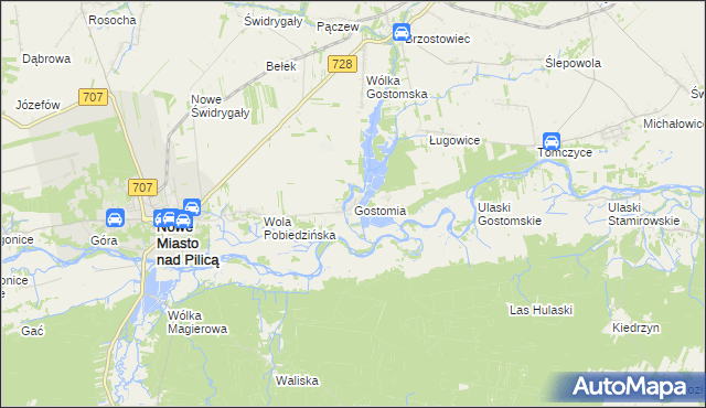 mapa Gostomia gmina Nowe Miasto nad Pilicą, Gostomia gmina Nowe Miasto nad Pilicą na mapie Targeo
