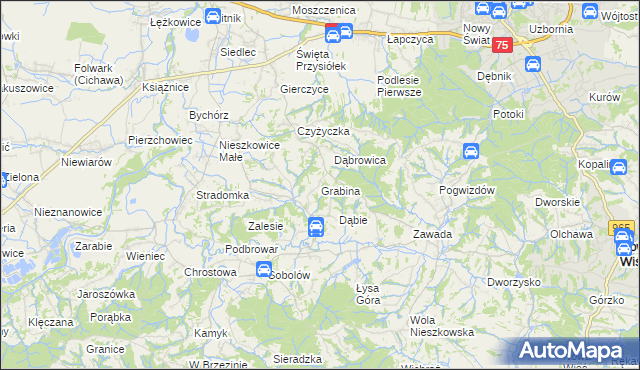 mapa Grabina gmina Bochnia, Grabina gmina Bochnia na mapie Targeo