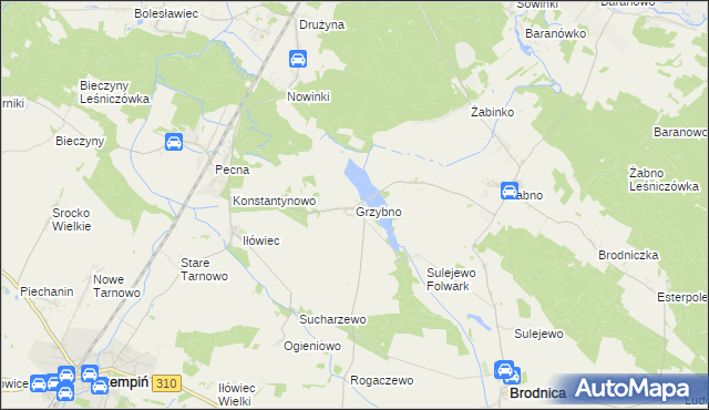 mapa Grzybno gmina Brodnica, Grzybno gmina Brodnica na mapie Targeo