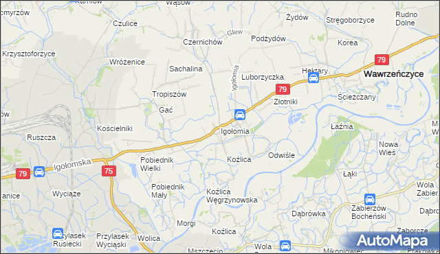 mapa Igołomia, Igołomia na mapie Targeo