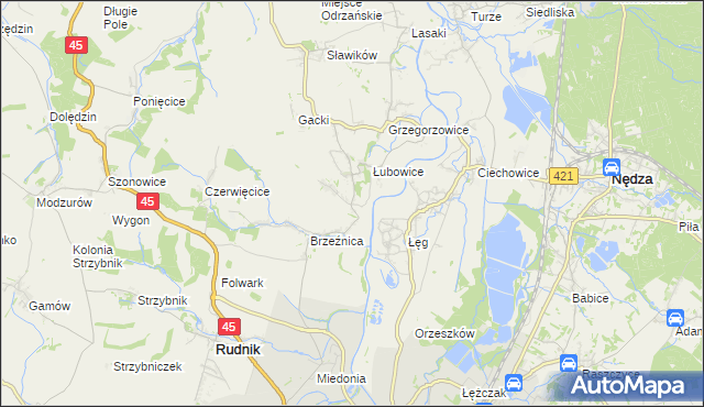 mapa Ligota Książęca gmina Rudnik, Ligota Książęca gmina Rudnik na mapie Targeo