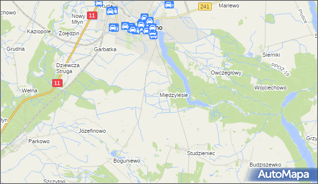 mapa Międzylesie gmina Rogoźno, Międzylesie gmina Rogoźno na mapie Targeo