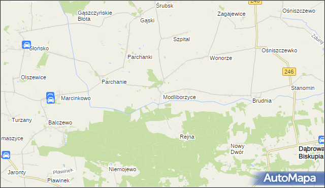 mapa Modliborzyce gmina Dąbrowa Biskupia, Modliborzyce gmina Dąbrowa Biskupia na mapie Targeo