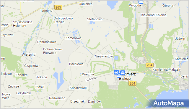 mapa Nieświastów, Nieświastów na mapie Targeo