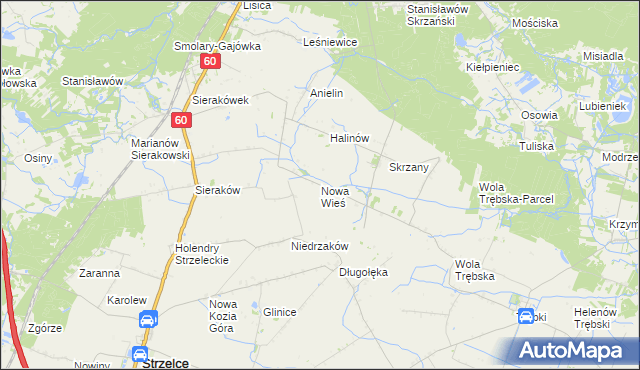 mapa Nowa Wieś gmina Gostynin, Nowa Wieś gmina Gostynin na mapie Targeo