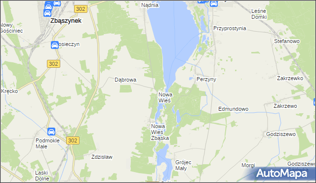 mapa Nowa Wieś gmina Zbąszyń, Nowa Wieś gmina Zbąszyń na mapie Targeo