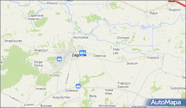 mapa Oleśnica gmina Zagórów, Oleśnica gmina Zagórów na mapie Targeo