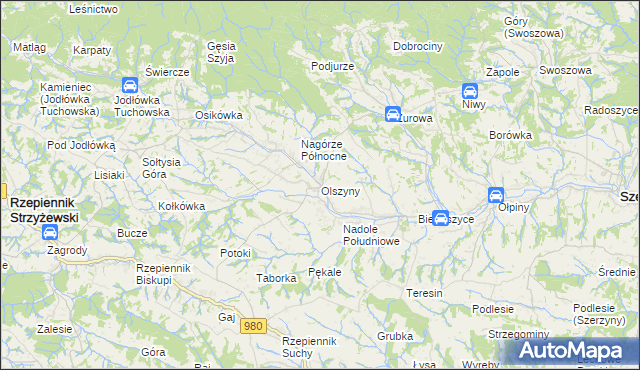 mapa Olszyny gmina Rzepiennik Strzyżewski, Olszyny gmina Rzepiennik Strzyżewski na mapie Targeo