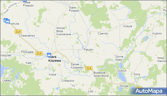 mapa Pałubin, Pałubin na mapie Targeo