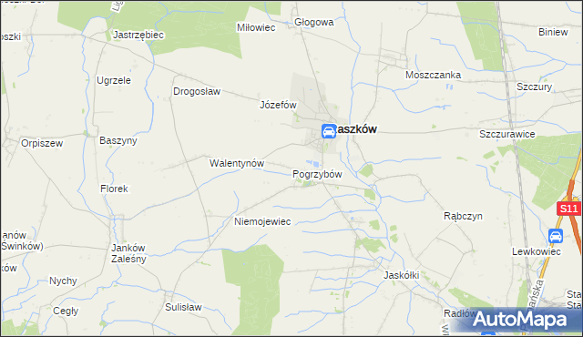 mapa Pogrzybów, Pogrzybów na mapie Targeo
