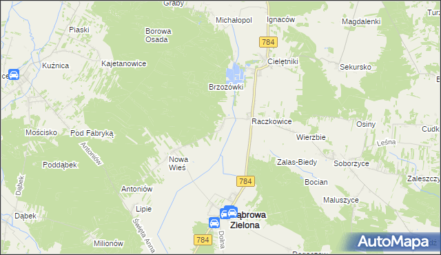 mapa Raczkowice-Kolonia, Raczkowice-Kolonia na mapie Targeo