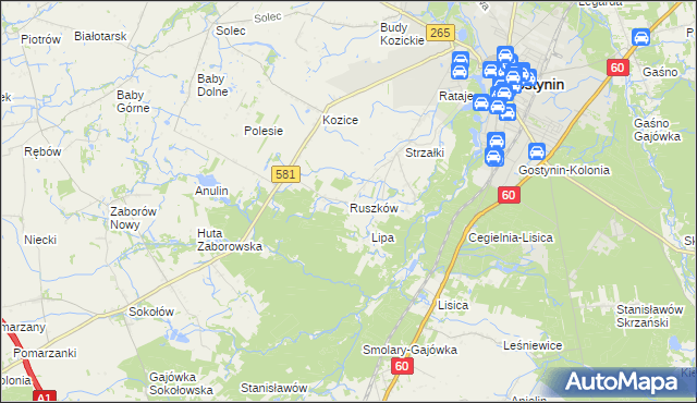 mapa Ruszków gmina Gostynin, Ruszków gmina Gostynin na mapie Targeo