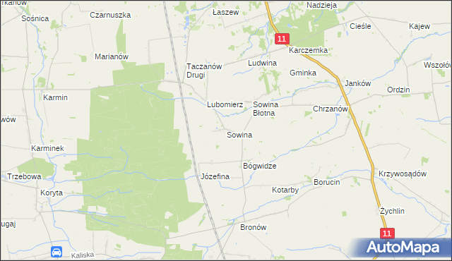 mapa Sowina gmina Pleszew, Sowina gmina Pleszew na mapie Targeo