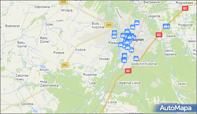 mapa Strzałki gmina Gostynin, Strzałki gmina Gostynin na mapie Targeo